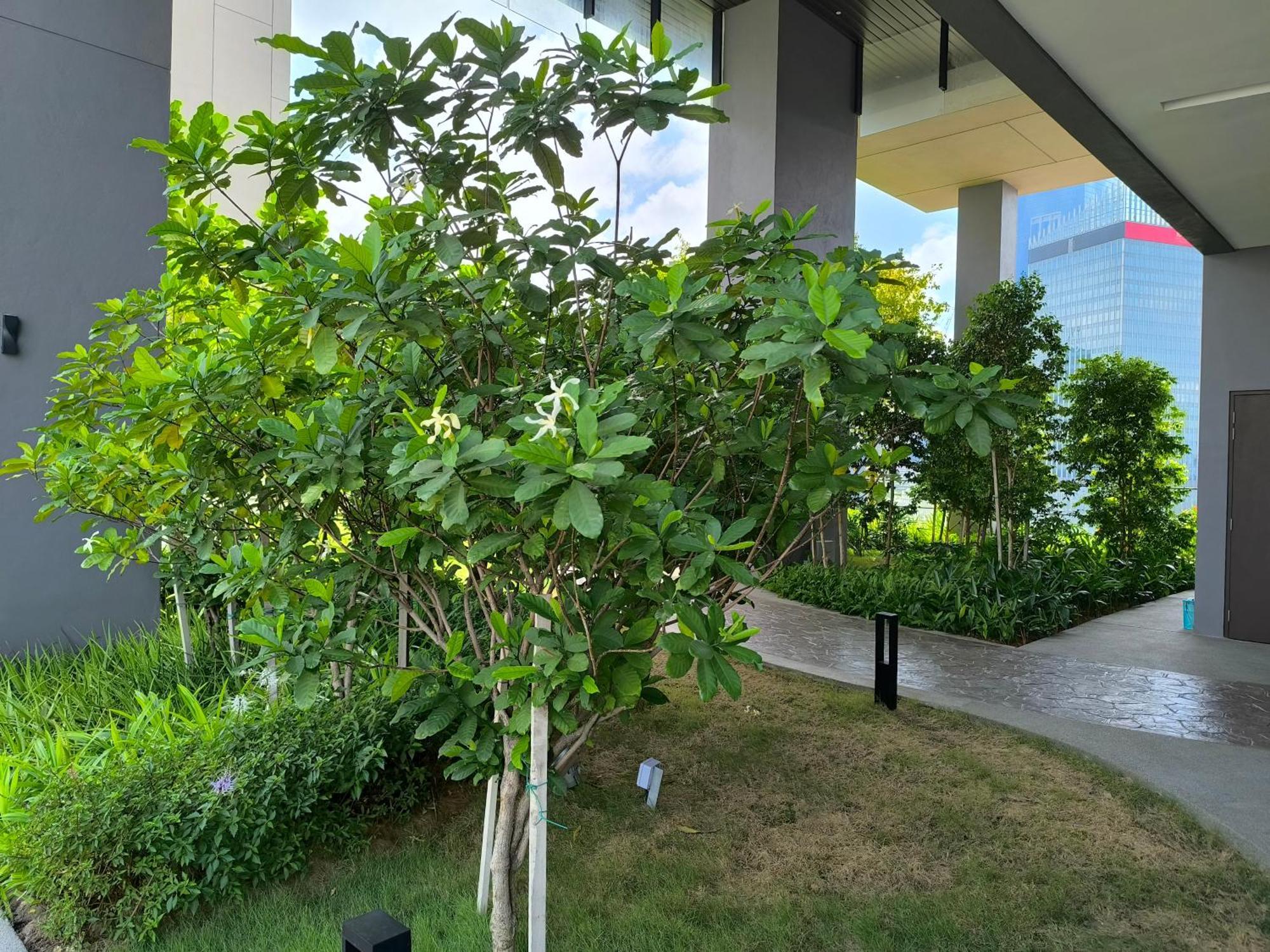 Tourism Axon Residence Bukit Bintang Kl クアラルンプール エクステリア 写真